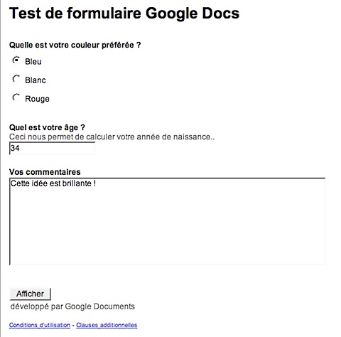 2008-02-12 formulaire Google Docs.png